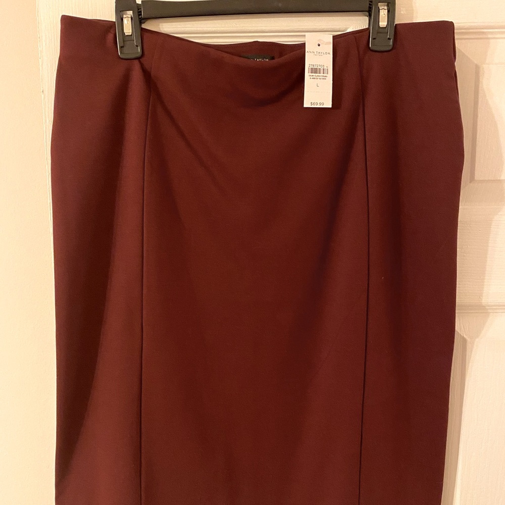 Ann Taylor Maroon Skirt